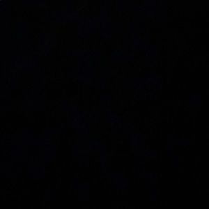 Meet your Posher, Elsa